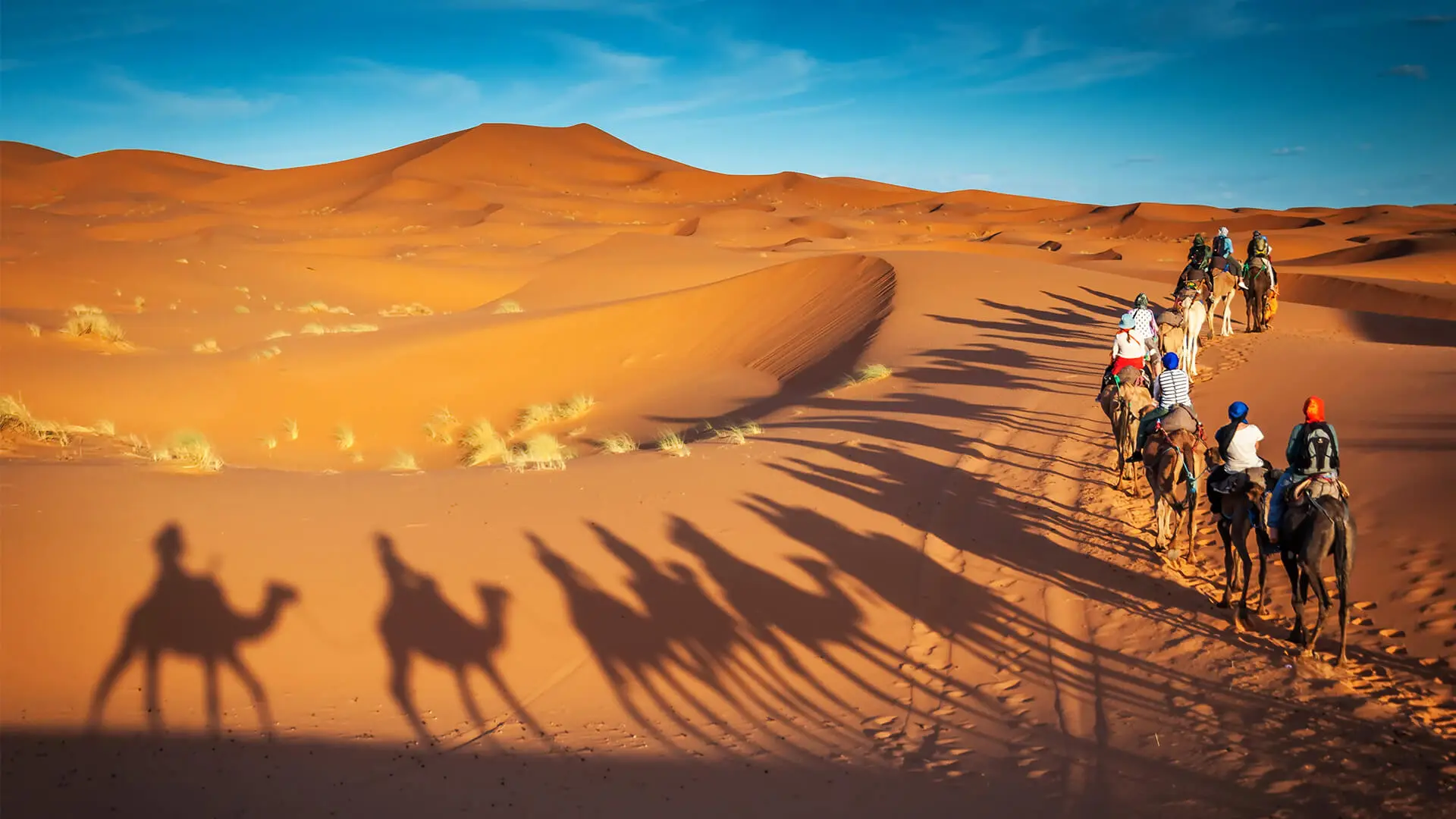 leh ladakh trip package