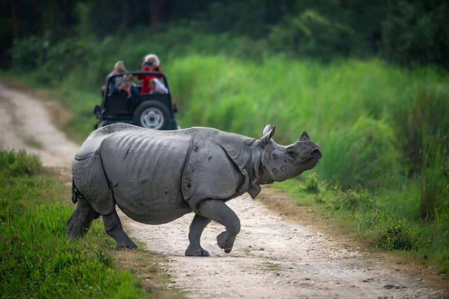 Chardham yatra package
