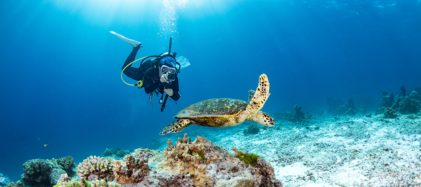 Manali tour packages