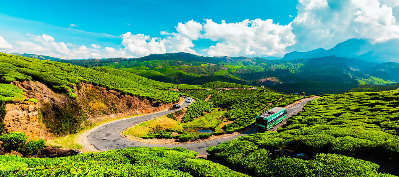 manali trip tour packages