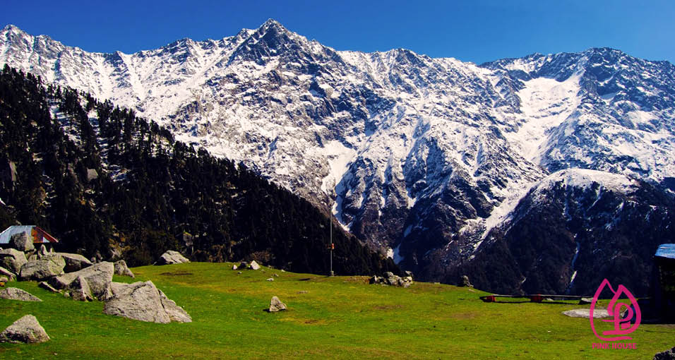 rajasthan trip package